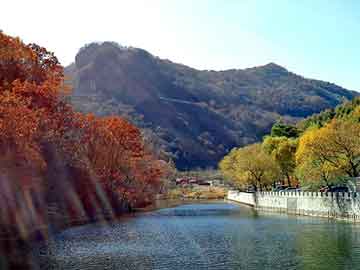 葛家巷道社区重塑未来，打造宜居新典范项目启动
